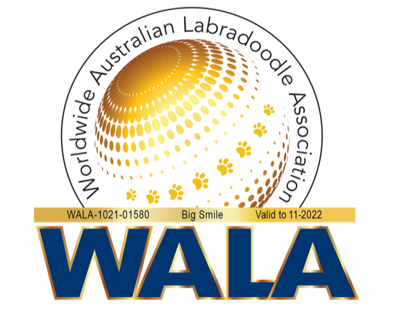 Big Smile WALA Logo 2022